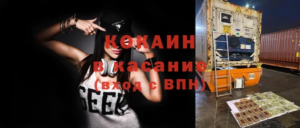соль ск Алзамай