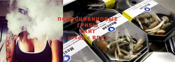 соль ск Алзамай