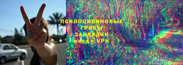 гашик Алексин