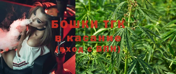 гашик Алексин