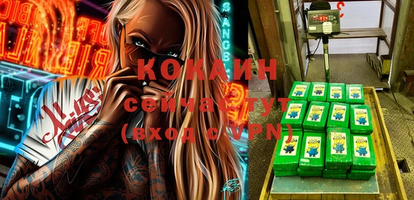 соль ск Алзамай