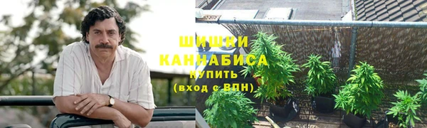 соль ск Алзамай