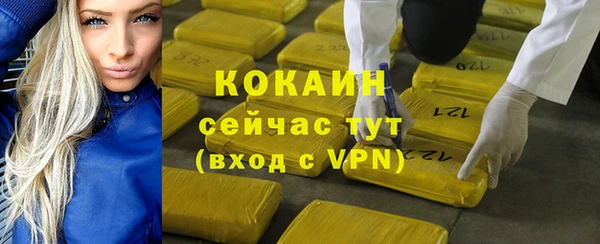 гашик Алексин