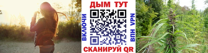Бошки Шишки Ganja  наркотики  Находка 